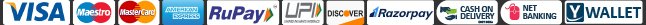 100% Secure Payment Methods - Visa, MasterCard, UPI, NetBanking